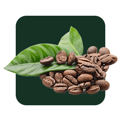 list item image